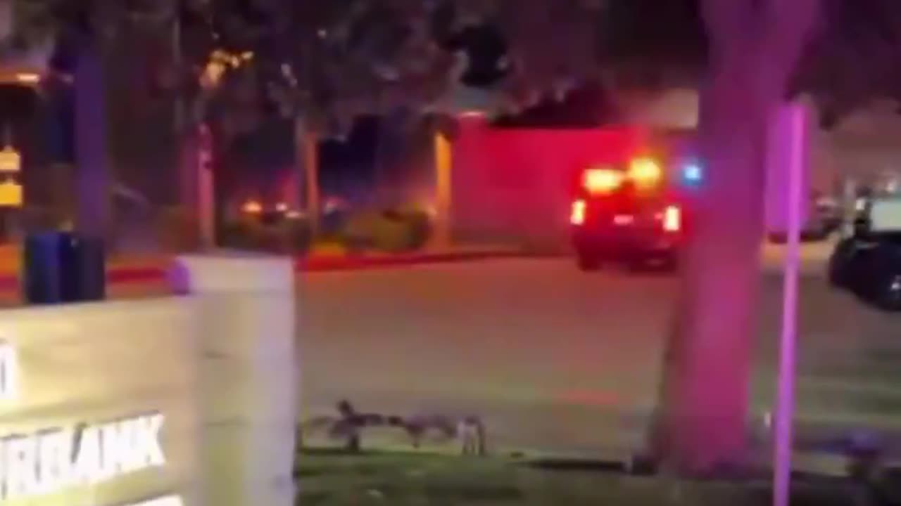 Police Honor Fallen Four-Legged Hero With Touching Tribute