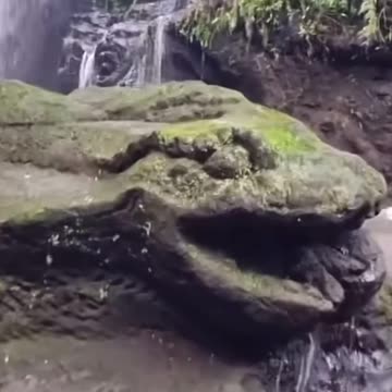 Giant Stone Snake Found in Jungle - Carved or Petrified?