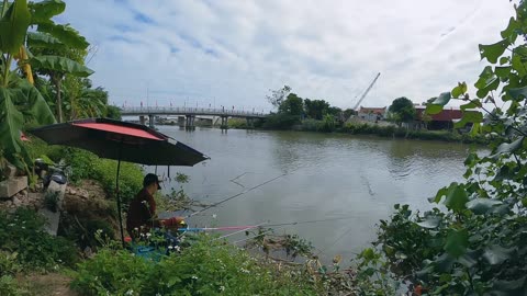 Lakeside Fun Fishing for Sunfish with Kids