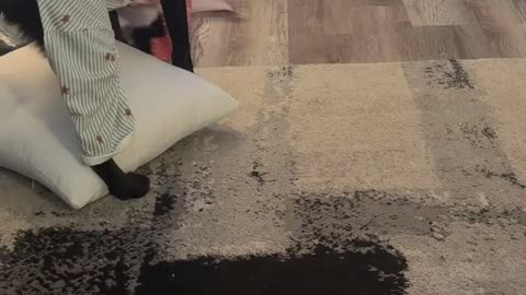 Dog Opens Christmas Present