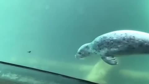 Mesmerized by the butterfly 😍