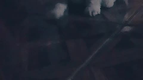 La cachorrita está enojada con la madre, porque está comiendo un huesito y no convida