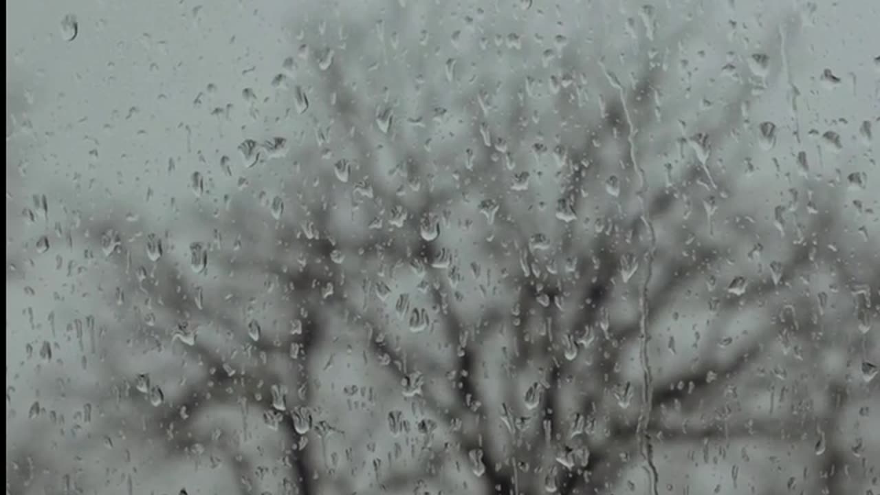 Daily Horoscope | Aquarius 🌟