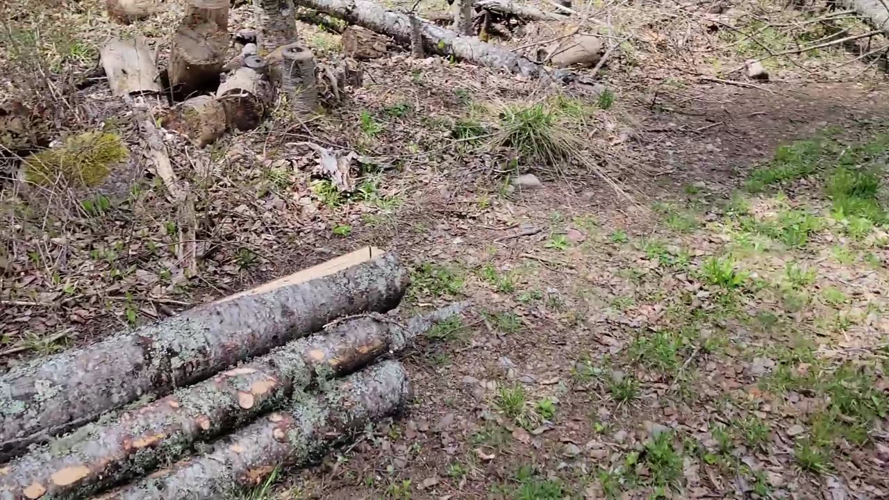 Where have we been and Harvesting Logs