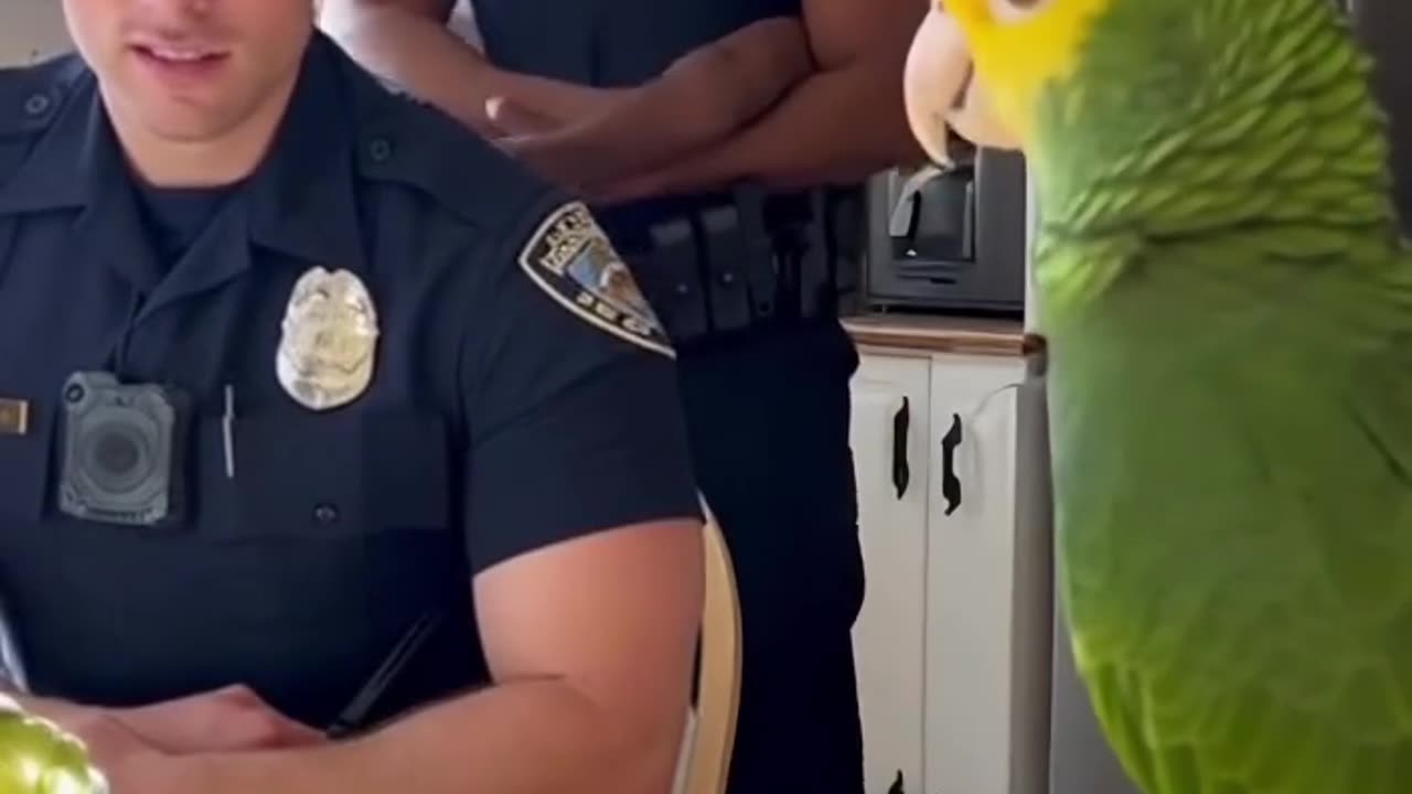 The parrot destroys the officer's confidence🦜🎬❤️⏰👨‍👨‍👧‍👧