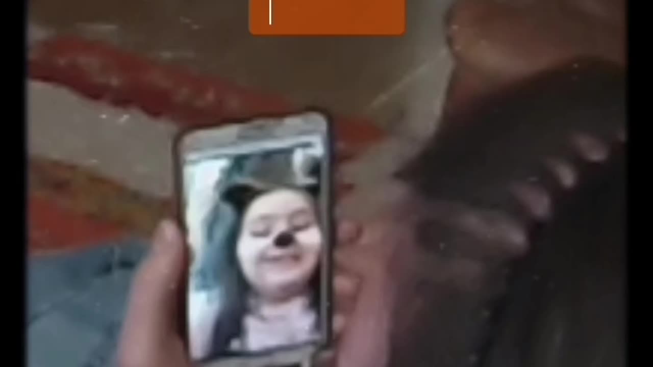 May indirect contact video call number 1, part 4