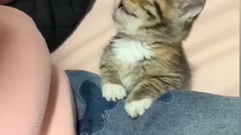 Sleeping