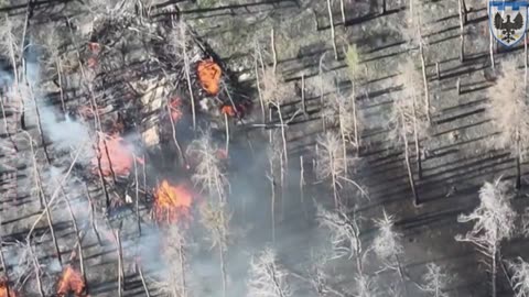 Flamethrower Drone Sets Fire to Russian Shelter Made from Tree Branches and Dry Brush