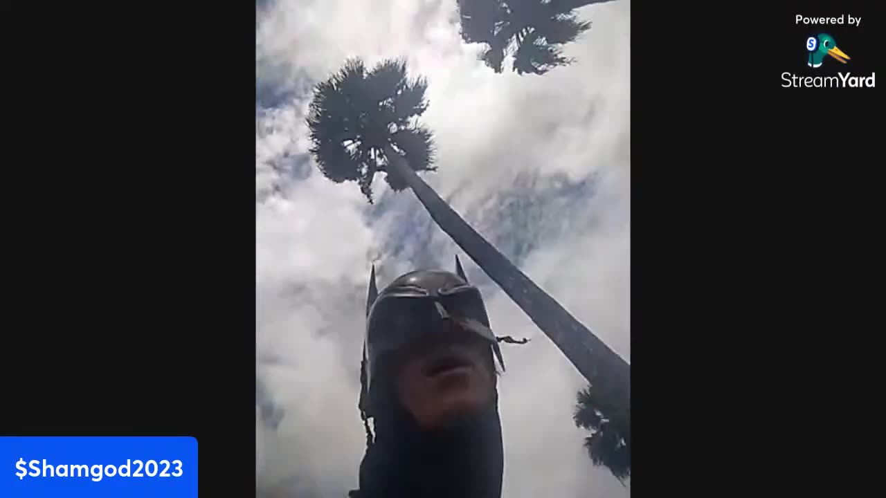 Batman Is The Successful CEO Who Gets Results!!! 🦇