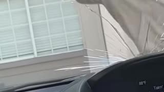 Low IQ kid acts low IQ.