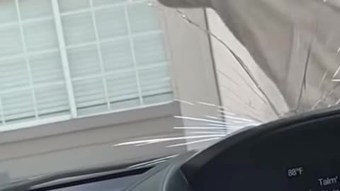 Low IQ kid acts low IQ.