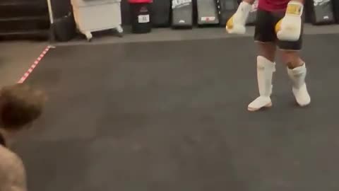 A round of sparring