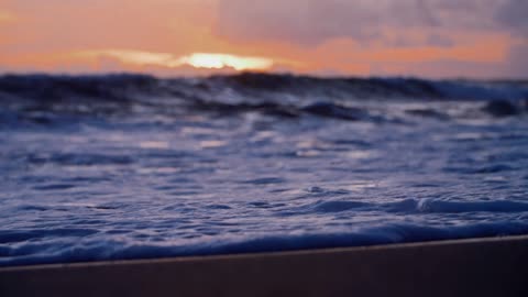 Beautiful moments