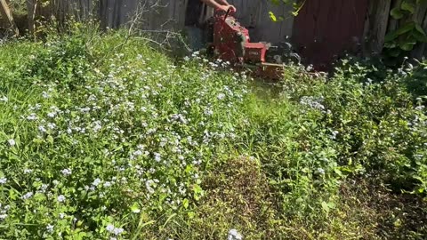 This Abandoned Home Became an H.O.A. Nightmare—No One Knows Who Owns It P1