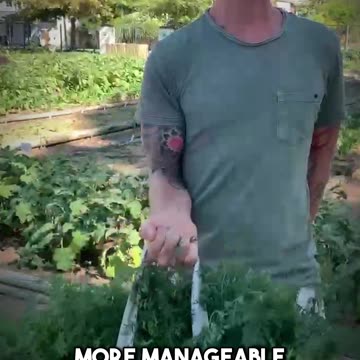 The stress hack you missed!