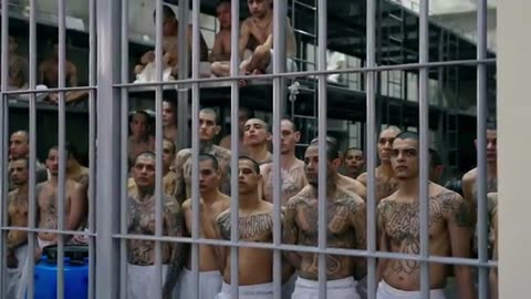 The World's Highest Security Prison: CECOT (The most evil are kept here)