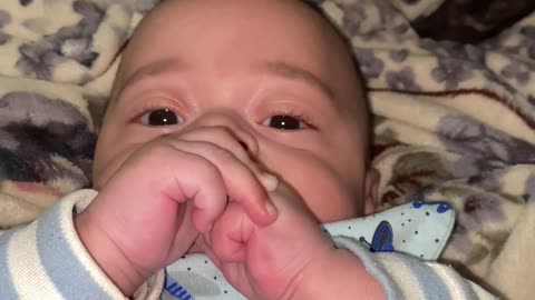 Cat Gives Baby's Head a Bath
