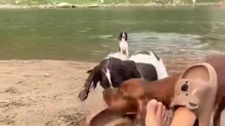 😂📝 You Won't Believe This Diagram Fail! | FunFM