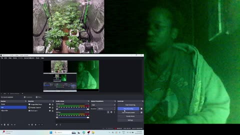 afternooner on a sunday