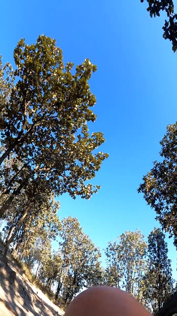 Guy Goes Over Handlebars on Mountain Bike