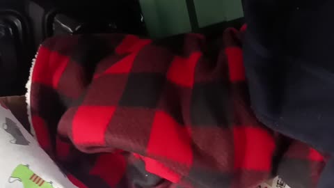 Motorgyûjtés 17 - Da Gear