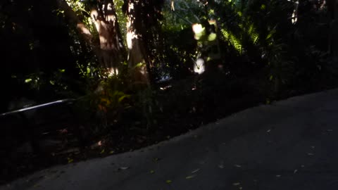 Low light test and walking around once again
