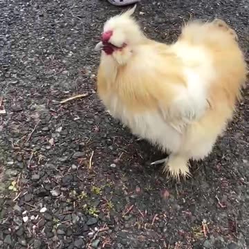 MAAAAMAAAAAA!!!! I’ve missed youuuu!!!