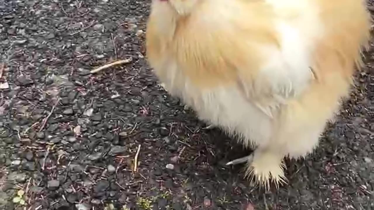 MAAAAMAAAAAA!!!! I’ve missed youuuu!!!