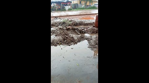 weather