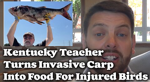 Kentucky Teacher Turns Invasive Carp Into Food For Injured Birds
