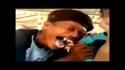 try not to die laughing