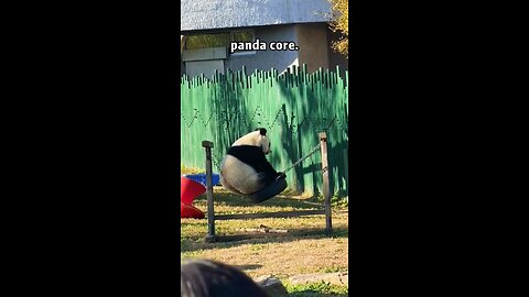 Panda Core