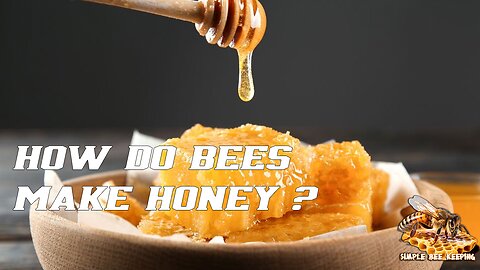 How do bees make honey