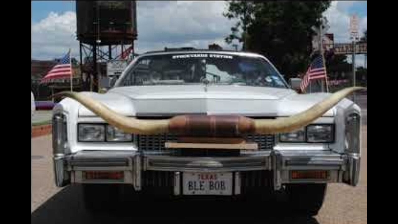 ALEPH (OX_BULL) TAURUS N THE SOLAR ECLIPSE #freetheland