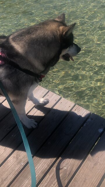 Saturday August 30, God has made everything beautiful for its own time.