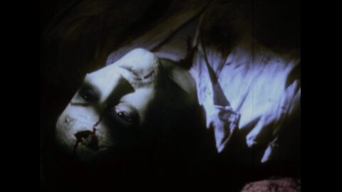 NIGHT OF THE LIVING DEAD SURVIVOR RETURN TO WILLARD , LIKE I FOLLOW , For Horror Classics ,