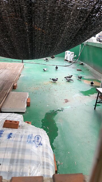 20251016. God Is Love.