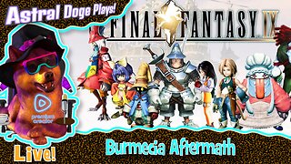 Final Fantasy IX ~LIVE!~ Burmecia Aftermath