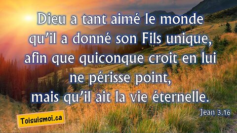 Jean Chapitre 5 et 6