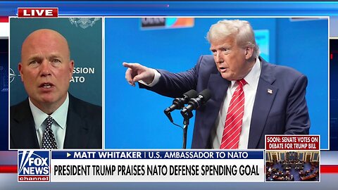 Trump’s presidency ‘changed’ NATO’s willingness to increase defense spending: Amb. Matt Whitaker