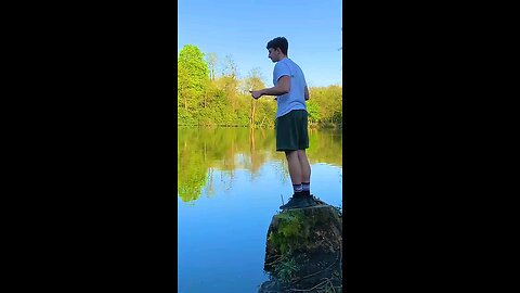 Viral Clip