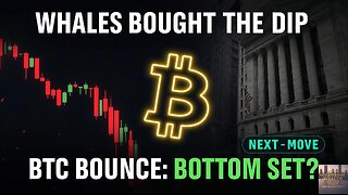 Bitcoin Just Erased the Fear: Whales Buying & Meme ETFs Go Live 🔥 (Nov 24, 2025)