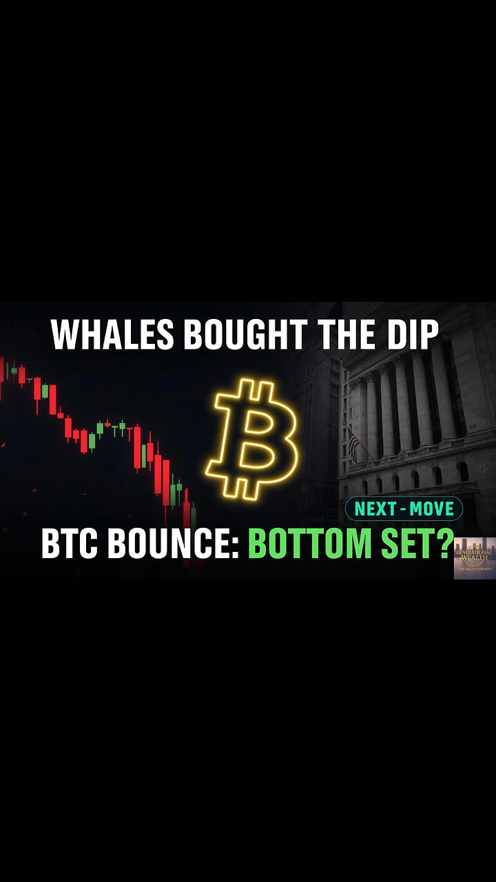 Bitcoin Just Erased the Fear: Whales Buying & Meme ETFs Go Live 🔥 (Nov 24, 2025)