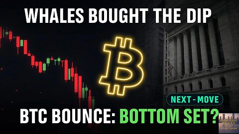Bitcoin Just Erased the Fear: Whales Buying & Meme ETFs Go Live 🔥 (Nov 24, 2025)