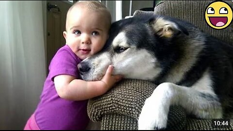 When Your Dogs Are Being Silly with Their Little Humans 🤪
