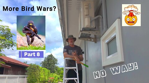 Bird Wars 8 - 7.19.25