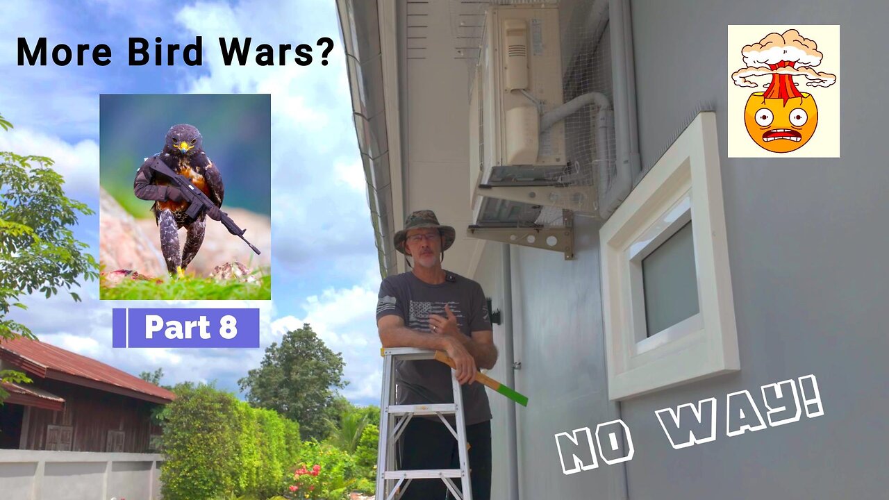 Bird Wars 8 - 7.19.25