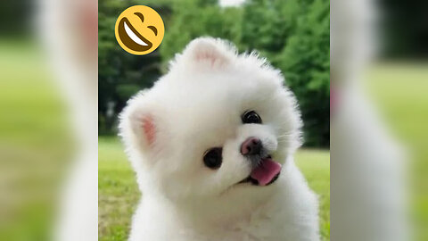 Funniest animals,,,!!! 💖💖💖
