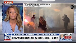 DHS Assistant Secretary: Democrats, Media Are Normalizing Violence