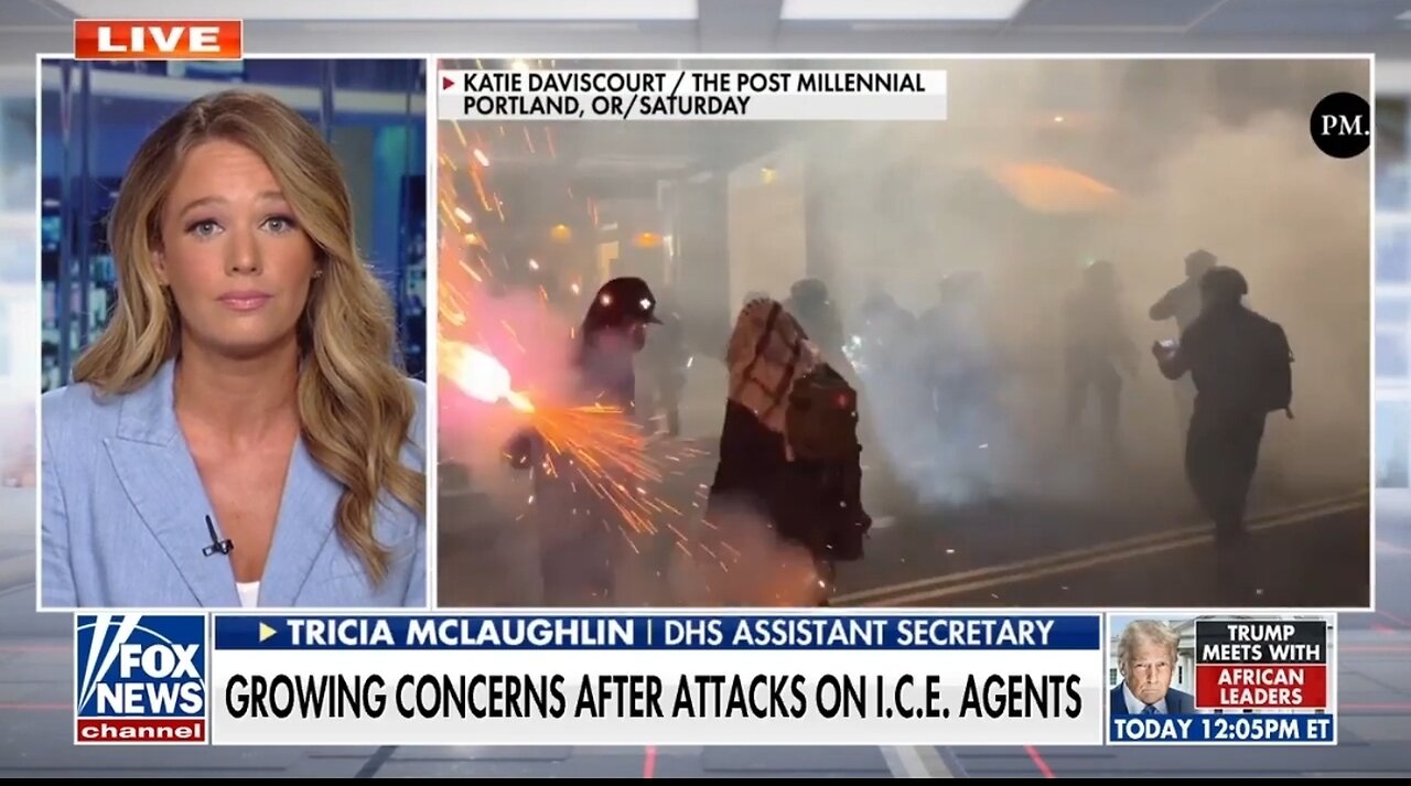 DHS Assistant Secretary: Democrats, Media Are Normalizing Violence